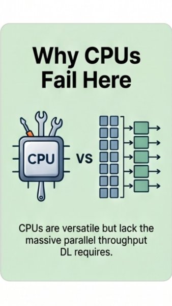 The CPU vs Accelerator Gap: Where Performance Really Disappears - Kryptomindz Blog
